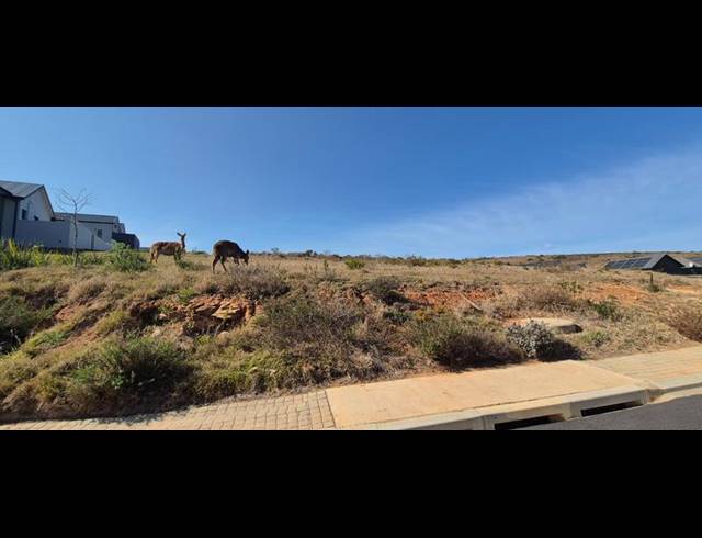 LAND FOR SALE IN OUTENIQUASBOSCH